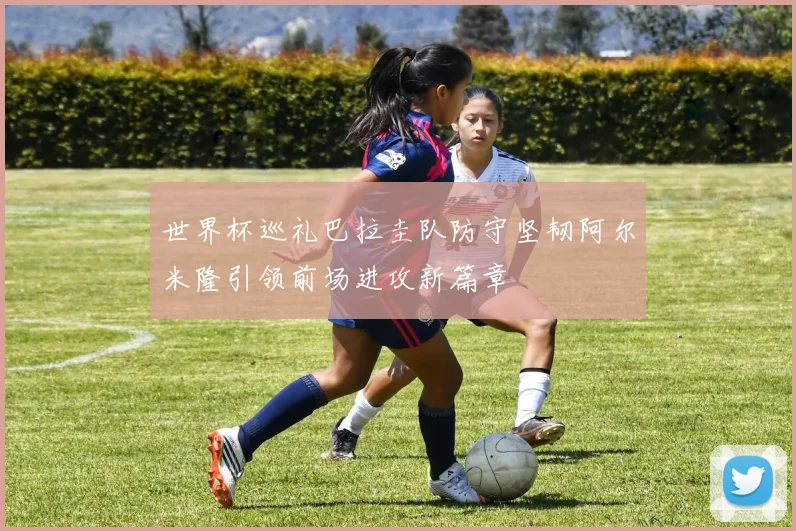世界杯巡礼巴拉圭队防守坚韧阿尔米隆引领前场进攻新篇章