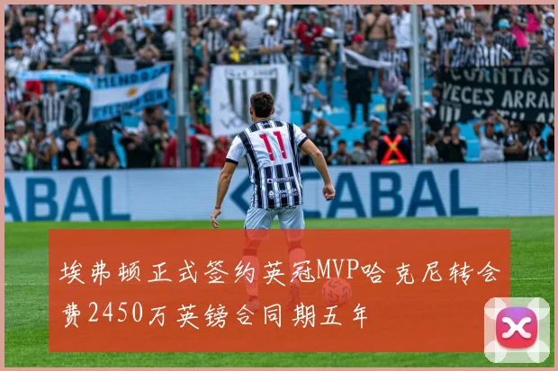 埃弗顿正式签约英冠MVP哈克尼转会费2450万英镑合同期五年