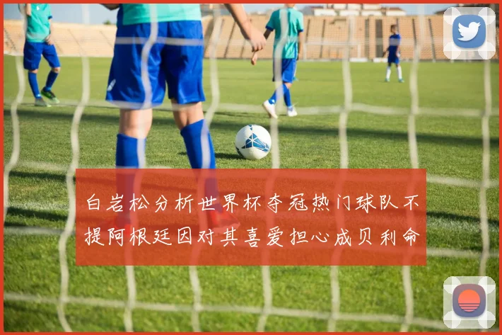 白岩松分析世界杯夺冠热门球队不提阿根廷因对其喜爱担心成贝利命运